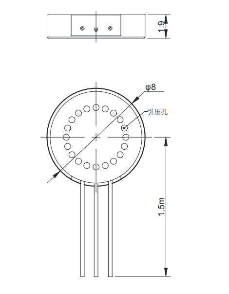 ns5����.png