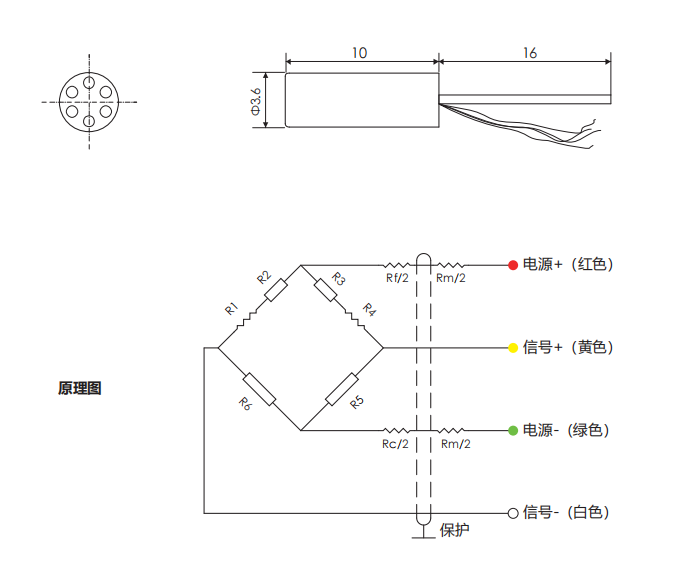 ns1����.png