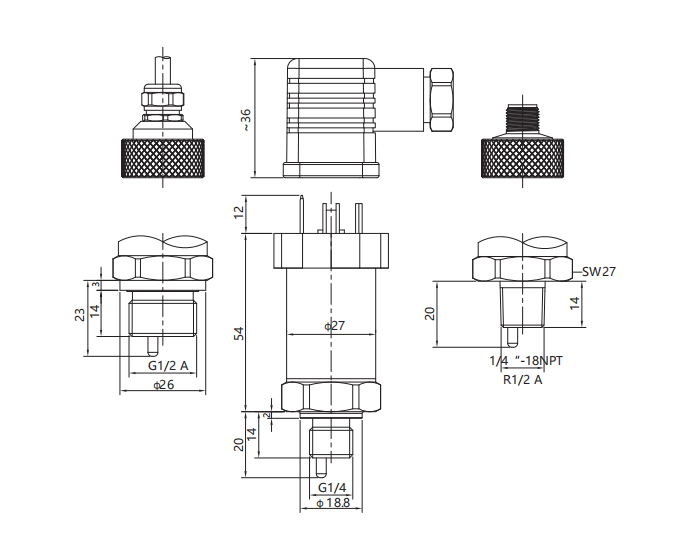 P29����.png